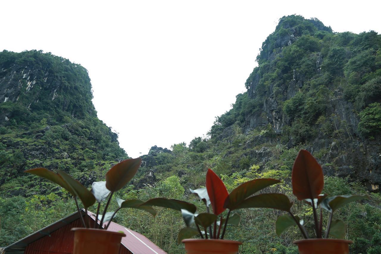 Gold Plus Hotel Phong Nha Zewnętrze zdjęcie